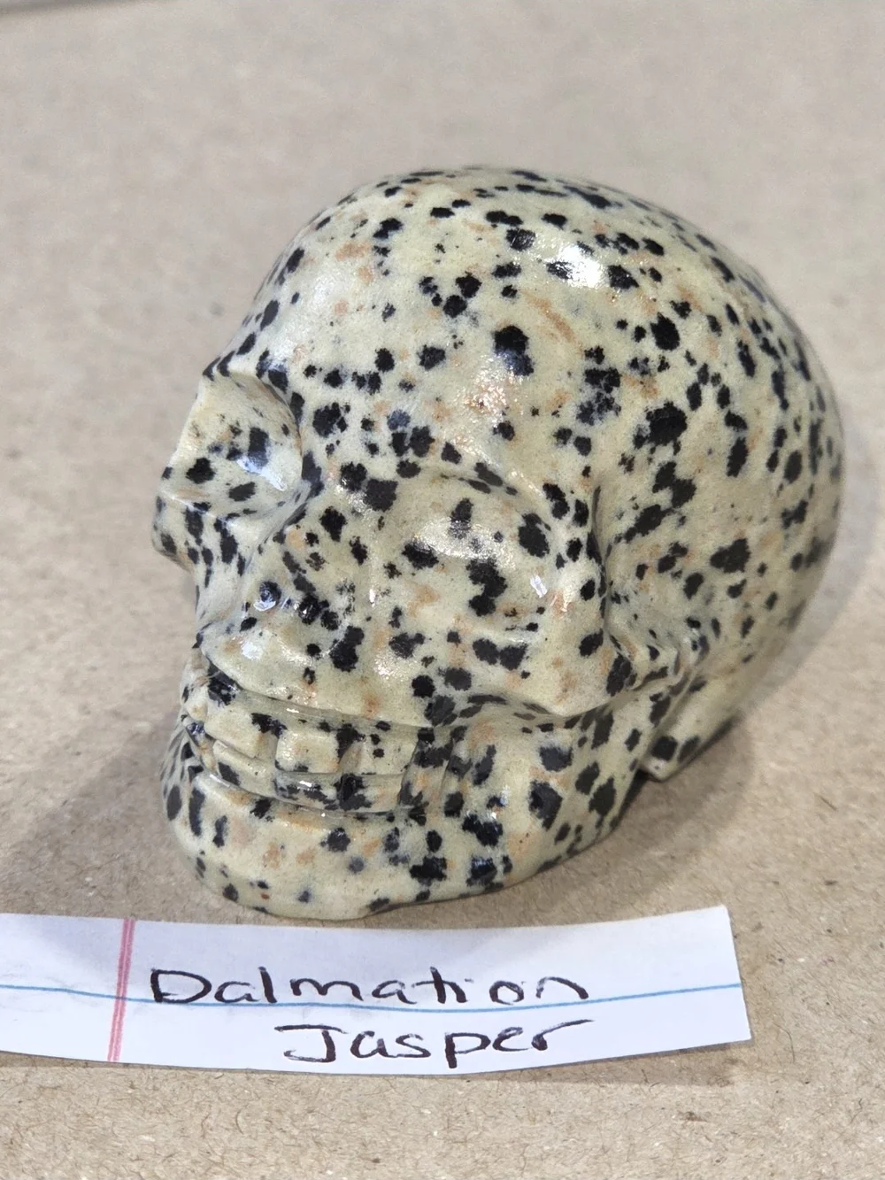 Detailed Dalmatian Jasper Crystal Carved Skull Stone Sculpture Decor